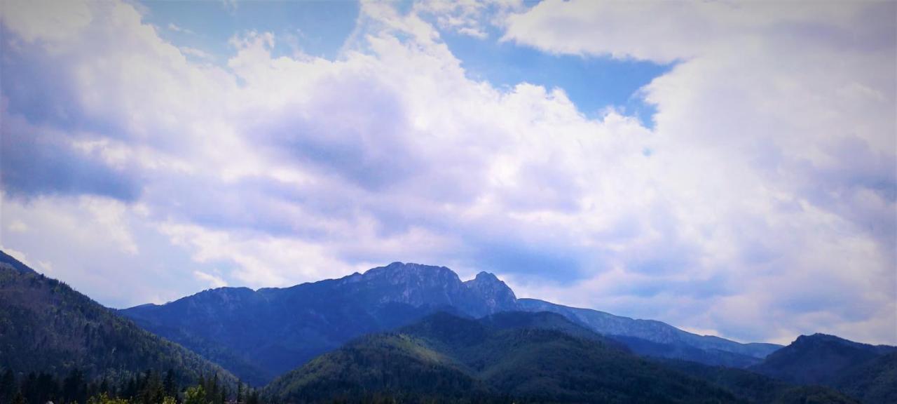 Hyrny Panzió Zakopane Kültér fotó